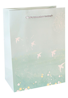 Dream cards Пакет подарочный с матовой ламинацией  Небесный простор 18х23х10 см (M) ,210 г ППД-9597