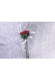 Конус под гладиолус 52/80 рис/рис