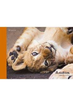 Альбом для рисования 40л. Склейка. Маленький львенок