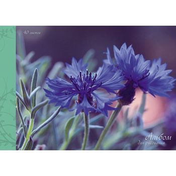 Кликните для увеличения изображения