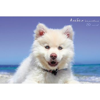 Кликните для увеличения изображения