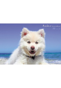 Альбомы для рисования 20л. Гребень, Белый и пушистый (пёс)