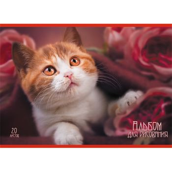 Кликните для увеличения изображения