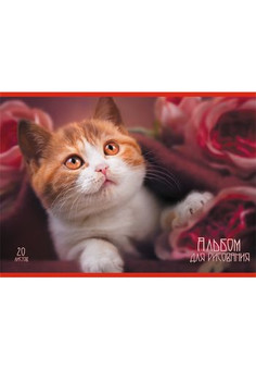 Альбомы для рисования 20л. Скрепка. Очаровательный котик