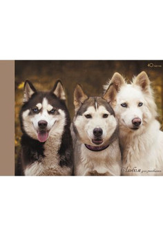 Альбомы для рисования 40л. Склейка, Три друга (собаки)