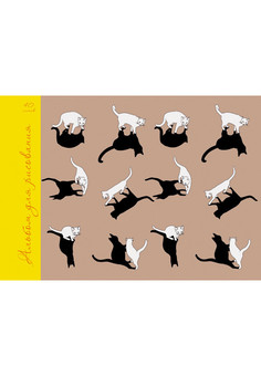 Альбомы для рисования 40л. Склейка. Кошачьи тени