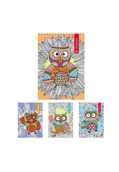 БЛОКНОТ А6 40л. на гребне АНТИСТРЕСС-СОВЫ (Б40-6967) ассорти, цвет.мелов.обл, офсет, клетка