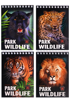 БЛОКНОТ А6 40л. на гребне ДИКИЕ КОТЫ - 1 (Б40-0253) ассорти, цвет.мелов.обл, офсет, клетка