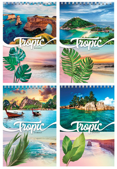 БЛОКНОТ А6 40л. на гребне ТРОПИЧЕСКИЙ ОСТРОВ (Б40-5876) ассорти, цвет.мелов.обл, офсет, клетка