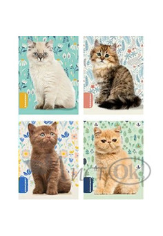 Блокнот А7 16л. на скрепке КОТЯТА (Б16-0526) обл.-мелов. картон, блок-офсет