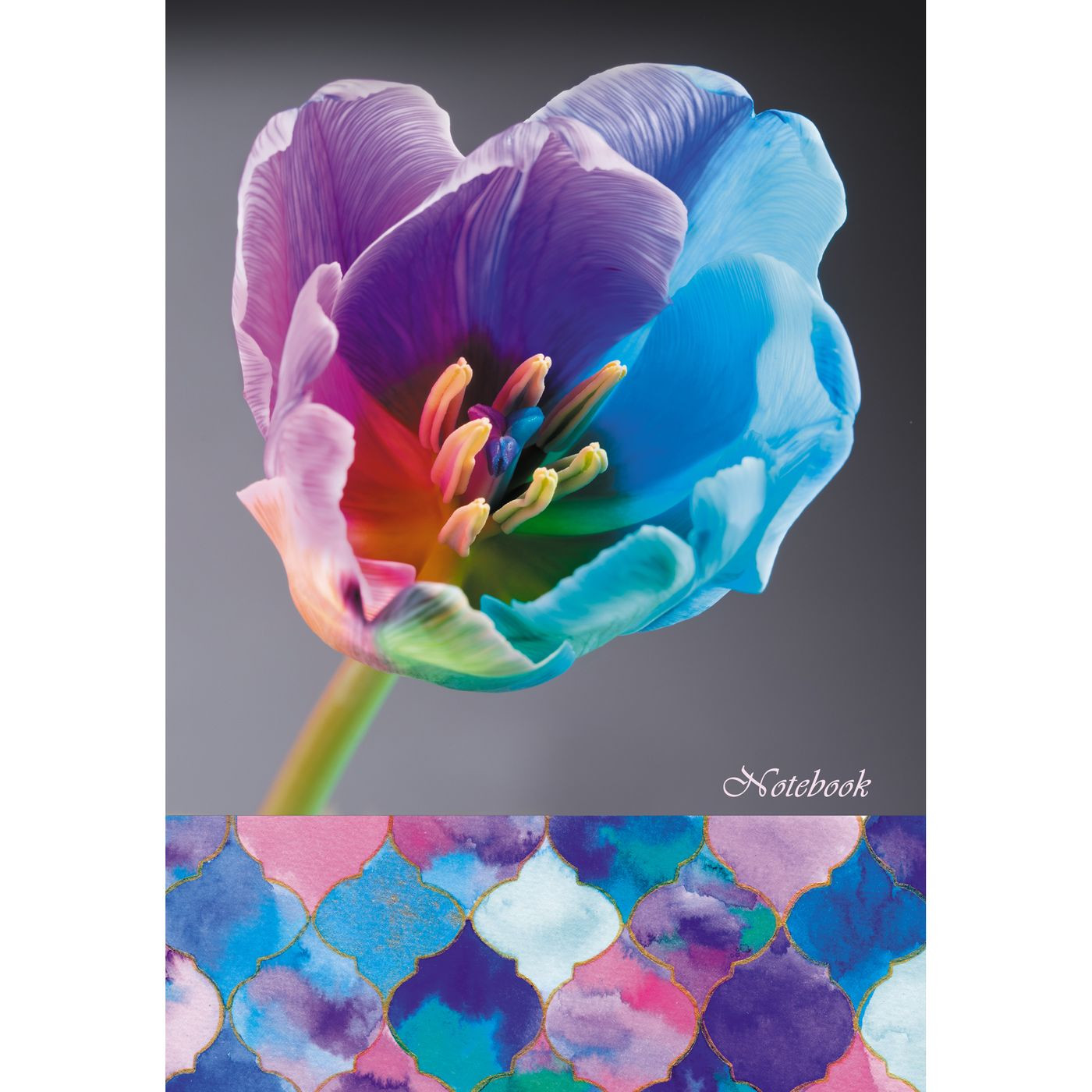 Кликните для увеличения изображения