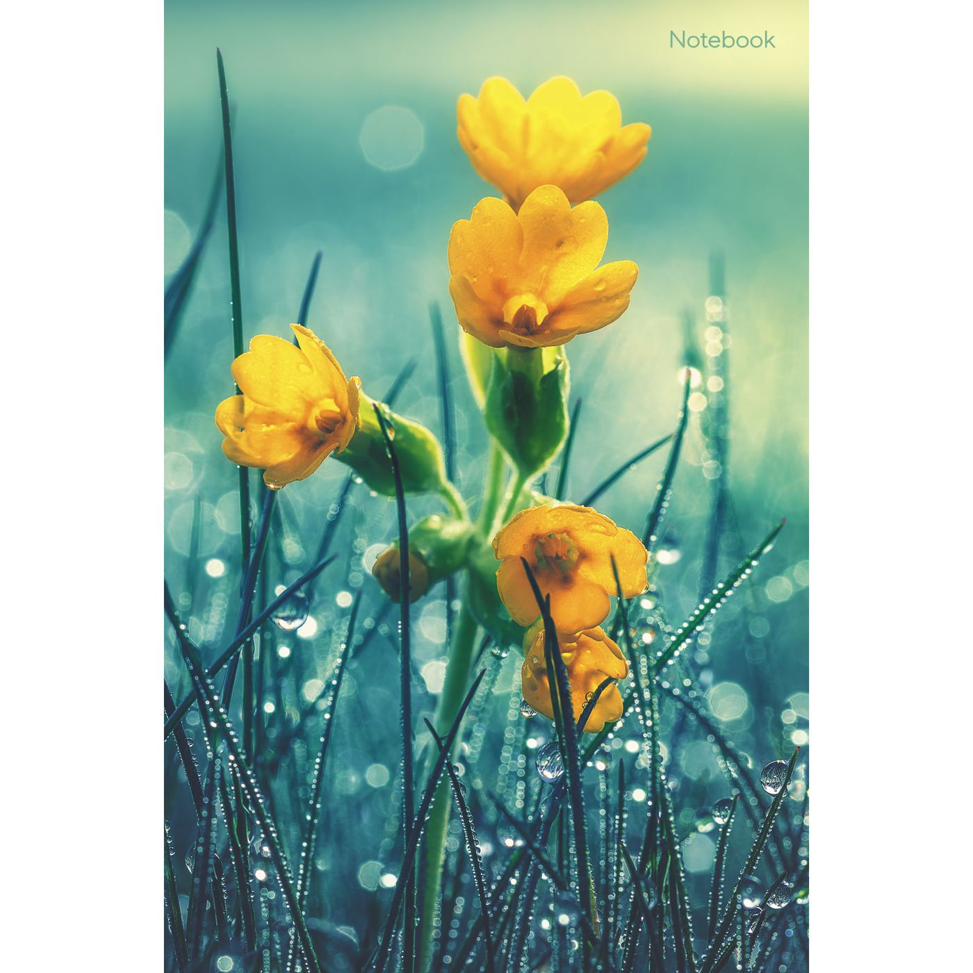 Кликните для увеличения изображения