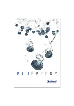 Книга записная FRESH FRUIT BLUEBERRY, ф.А5, 96 листов, 70 г/м2, клетка ,HERLITZ
