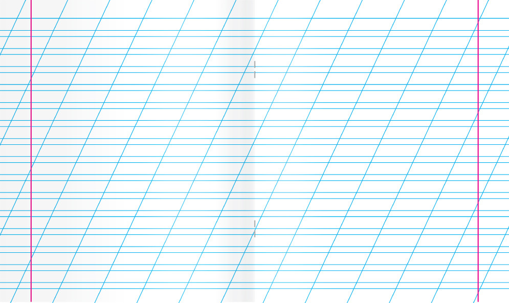 Тетрадь школьная СТАНДАРТ 12 л. КОСАЯ ЛИНИЯ, изображение 2