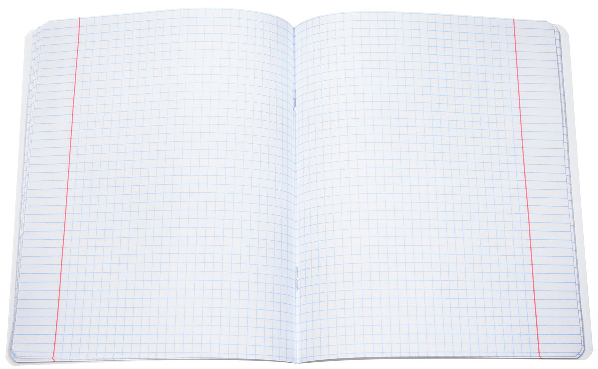 Тетрадь школьная СТАНДАРТ 18 л. КЛЕТКА, изображение 2