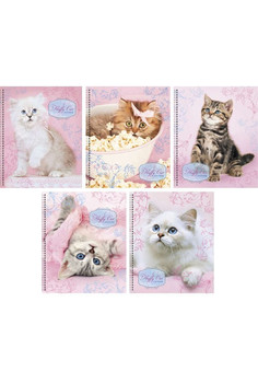 Тетради А5 48л. Гребень. Клетка. Пушистые котята 48л., 5 видов