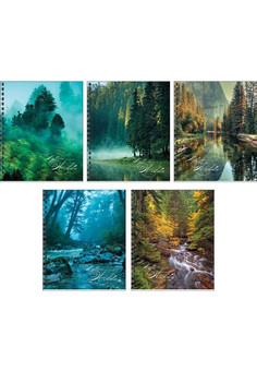 Тетради А5 48л. Гребень. Клетка. Тайна леса