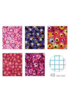 Тетради А5 48л. Евроспираль. Клетка. 