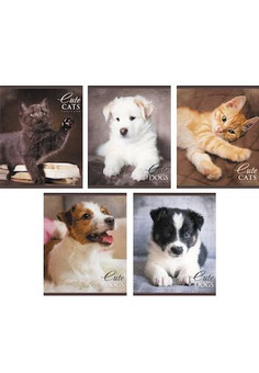 Тетради А5 48л. Скрепка. Клетка. Очаровательные питомцы (котята и щенки) 48л., 5 видов