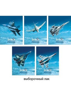 Тетради А5 96л. Гребень. Клетка. Военная авиация России 96л., 5 видов