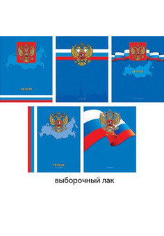 Тетради А5 96л. Гребень. Клетка. Государственная символика (синяя) 96л., 5 видов