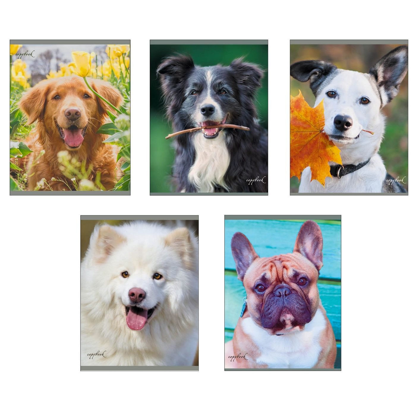 Кликните для увеличения изображения