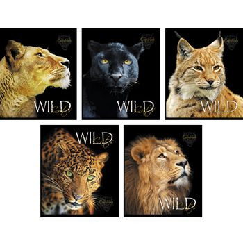 Кликните для увеличения изображения