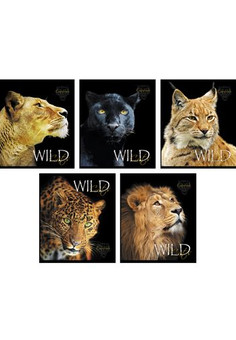 Тетради А5 96л. Скрепка. Клетка. Хищные кошки 96л.,5 видов