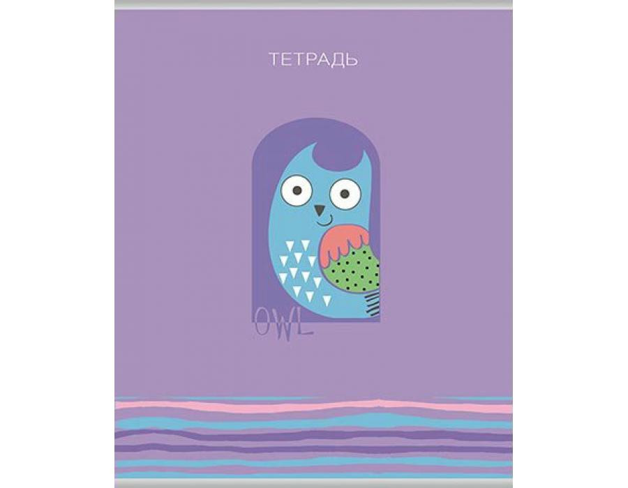 Кликните для увеличения изображения