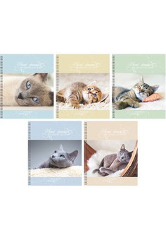 ТЕТРАДЬ А5 (гребень) 96Л. Обложка: ламинирование Нежные мечты (кошки) 96л. (евроспираль), 5 видов