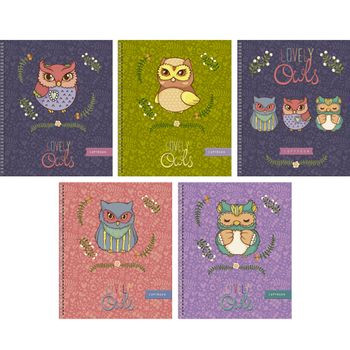 Кликните для увеличения изображения