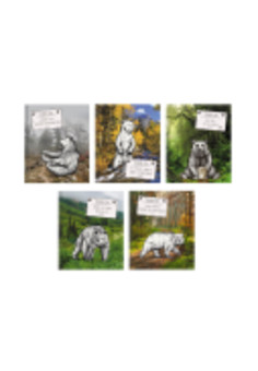 Тетрадь А5 48л. Гребень. Клетка. Обл.: выб. лак Правила ЗОЖ