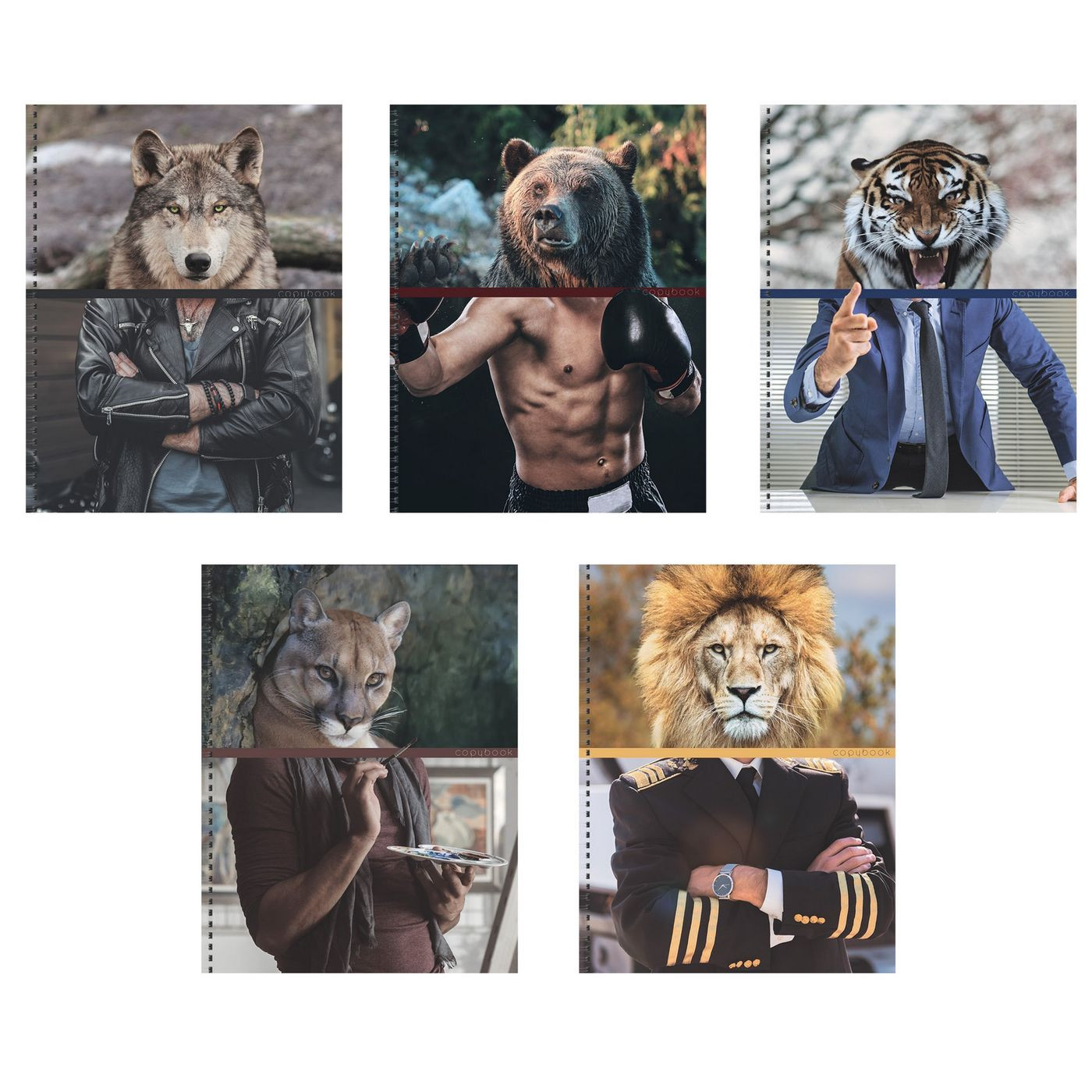 Кликните для увеличения изображения