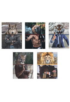 Тетрадь А5 48л. Гребень. Клетка. Покажи характер!