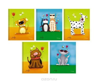 Кликните для увеличения изображения