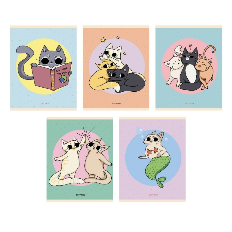 Кликните для увеличения изображения