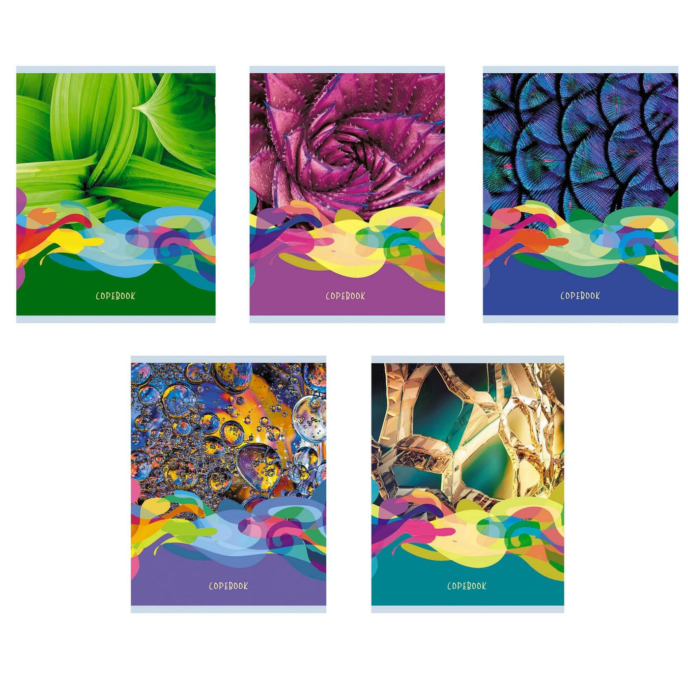 Кликните для увеличения изображения