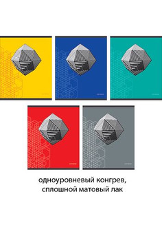Тетрадь А5 48л. Скрепка. Клетка. Цвет и геометрия, 5 видов