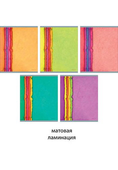 Тетрадь А5 48л. Скрепка. Клетка. Яркий стиль 48л., 5 видов