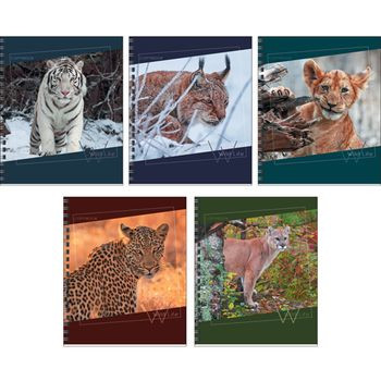 Кликните для увеличения изображения