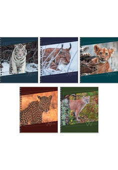 Тетрадь А5 80л. Гребень. Клетка. Семейство кошачьих (хищники)