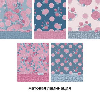 Кликните для увеличения изображения