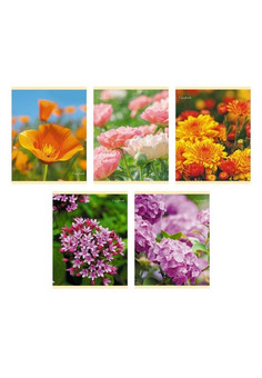 Тетрадь А5 96л. Скрепка. Клетка. Прекрасные цветы