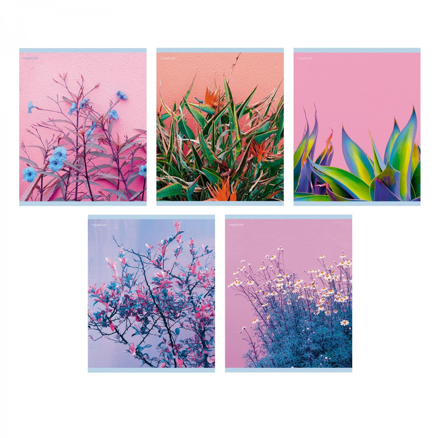 Кликните для увеличения изображения