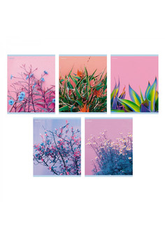 Тетрадь А5 96л. Скрепка. Линия. Обл.: гл. ламин. Яркая композиция