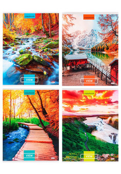 Тетрадь КЛЕТКА 96л. ВОСХИТИТЕЛЬНЫЕ ВИДЫ (96-8100) цветная мелов. обл., лён