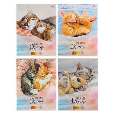 Кликните для увеличения изображения