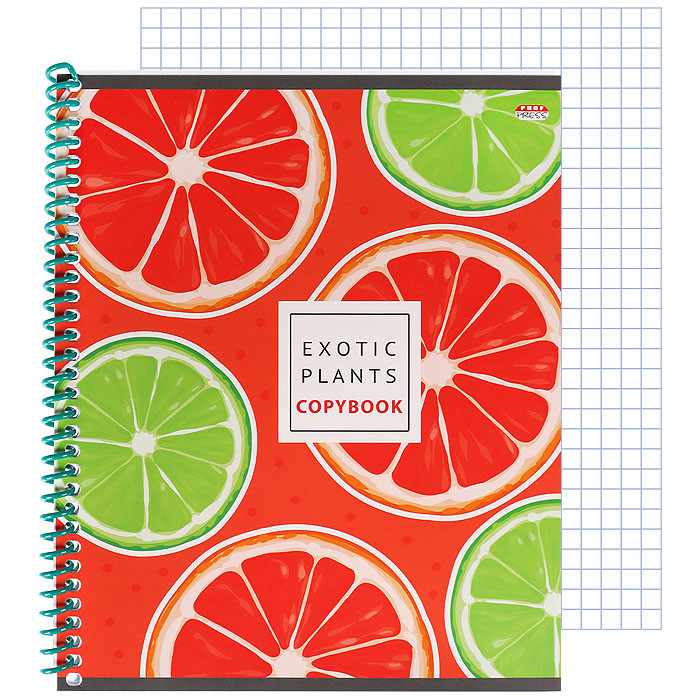 Кликните для увеличения изображения