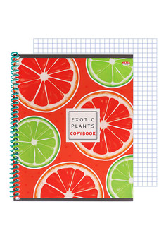 Тетрадь КЛЕТКА А5, 48л. ФРУКТОВАЯ ЭКЗОТИКА-1 (48-6146) цветная спираль, цвет. мелов. обложка