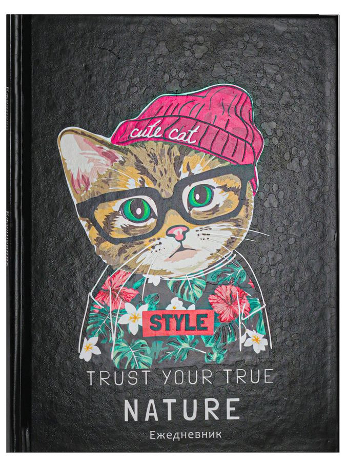 Кликните для увеличения изображения